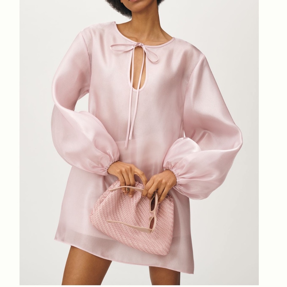 Anthropologie Pink Sheer Dress